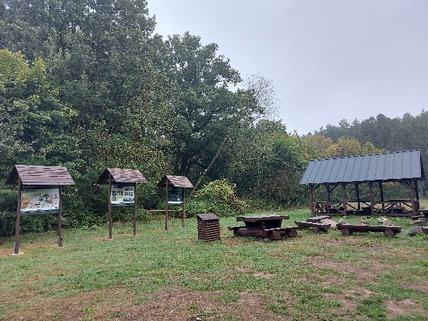 - marwicko_07.jpg - marwicko_07.jpg